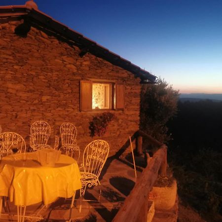 Casa Da Vinha Em Tabuaco - Douro 빌라 외부 사진