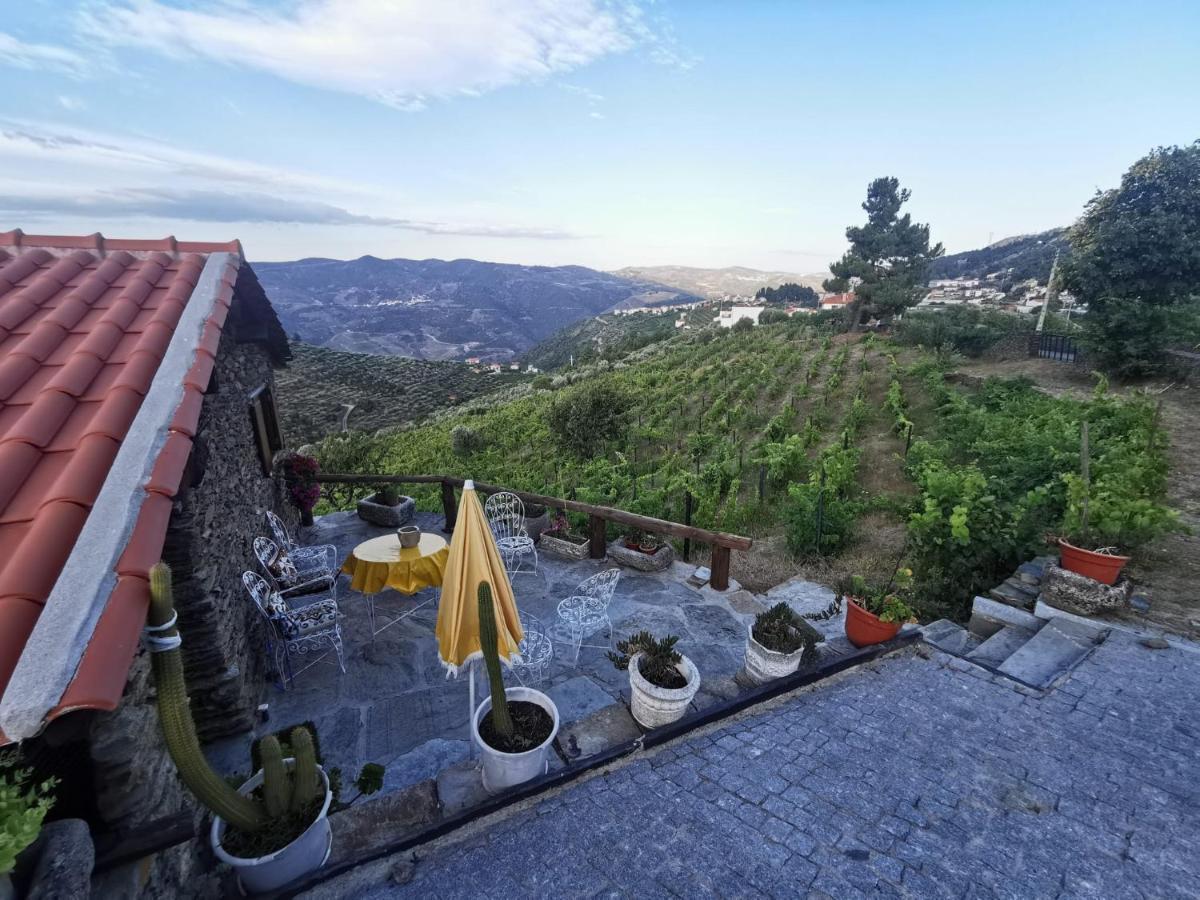 Casa Da Vinha Em Tabuaco - Douro 빌라 외부 사진