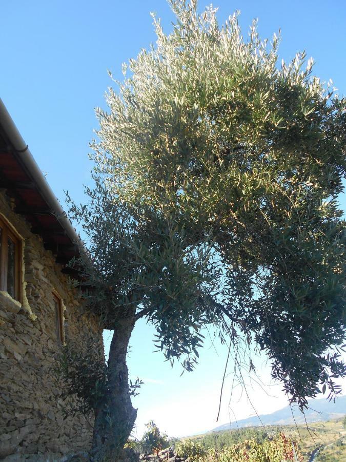 Casa Da Vinha Em Tabuaco - Douro 빌라 외부 사진