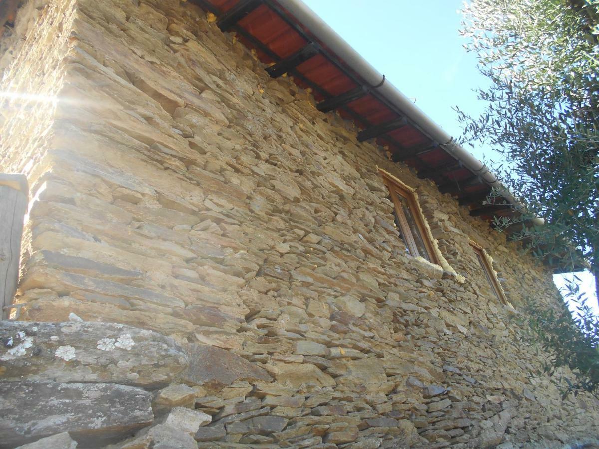 Casa Da Vinha Em Tabuaco - Douro 빌라 외부 사진