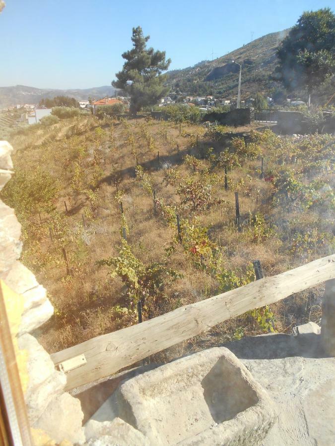 Casa Da Vinha Em Tabuaco - Douro 빌라 외부 사진
