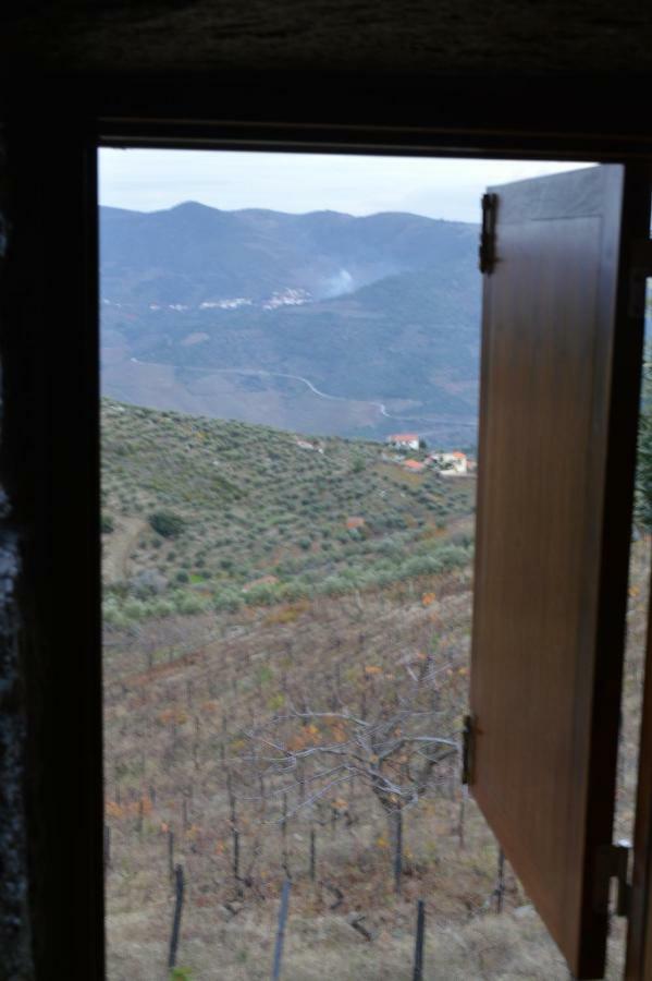 Casa Da Vinha Em Tabuaco - Douro 빌라 외부 사진