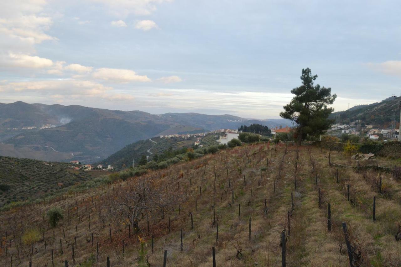 Casa Da Vinha Em Tabuaco - Douro 빌라 외부 사진